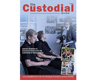 Custodial Review - about
